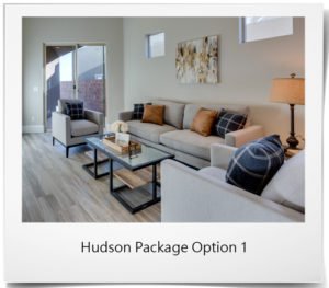 Hudson Package - Option 1