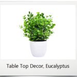 Table Top Decor, Small Eucalyptus