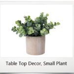 Table Top Decor, Small Plant