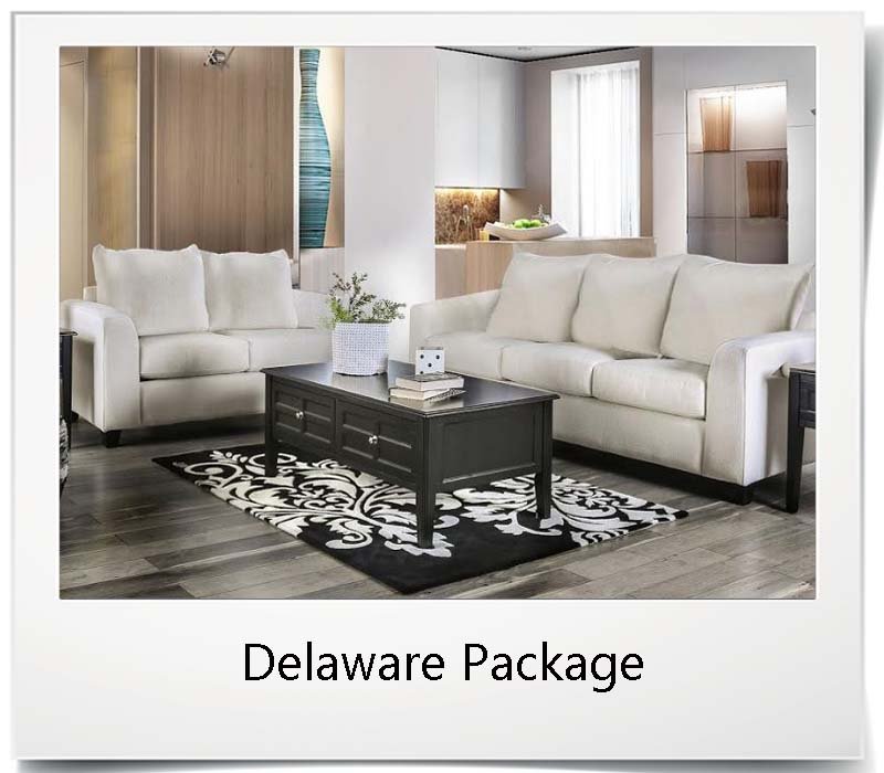 delaware package